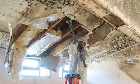 Best Industrial Mold Remediation  in Smith Mills, MA